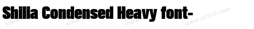 Shilia Condensed Heavy font字体转换